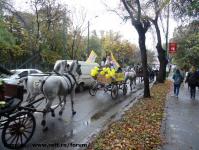 Imagine atasata: Oktoberfest - 2014.10.16 - 06.jpg